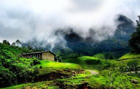 مونار ( Munnar )